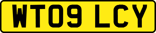 WT09LCY