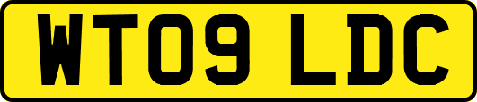 WT09LDC