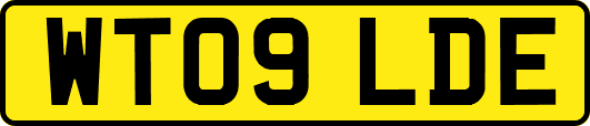 WT09LDE