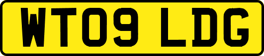 WT09LDG