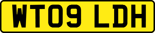 WT09LDH