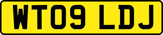 WT09LDJ