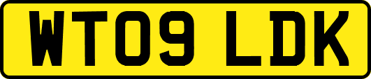 WT09LDK