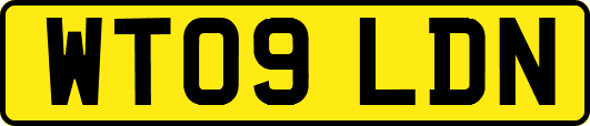 WT09LDN