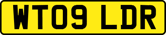 WT09LDR