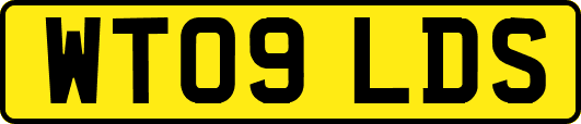 WT09LDS