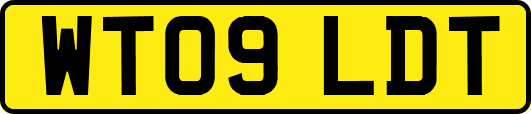 WT09LDT