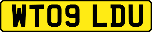 WT09LDU