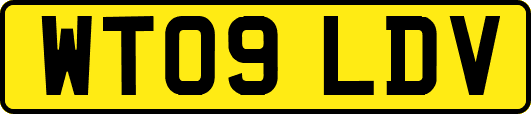 WT09LDV