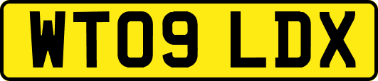 WT09LDX