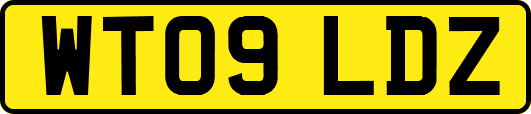 WT09LDZ