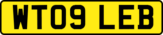 WT09LEB