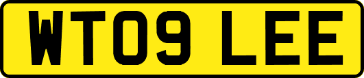 WT09LEE