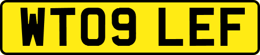WT09LEF