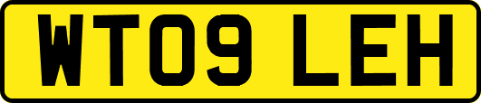 WT09LEH