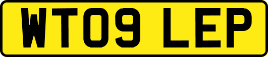 WT09LEP