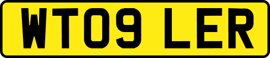 WT09LER