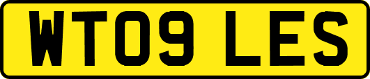 WT09LES