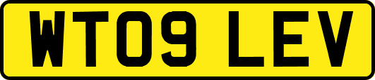 WT09LEV