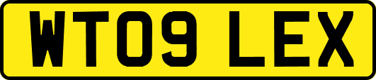 WT09LEX