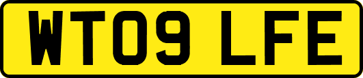 WT09LFE