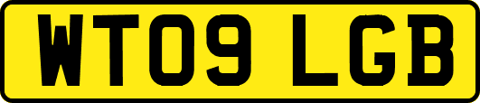 WT09LGB
