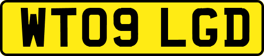 WT09LGD