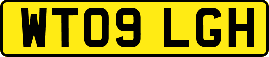 WT09LGH
