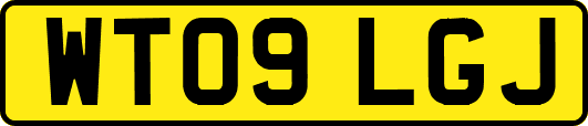 WT09LGJ