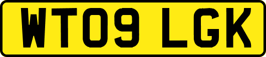 WT09LGK