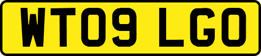 WT09LGO