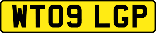 WT09LGP