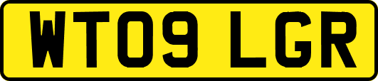 WT09LGR