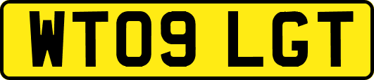 WT09LGT