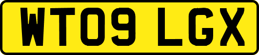 WT09LGX