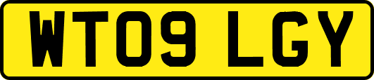 WT09LGY