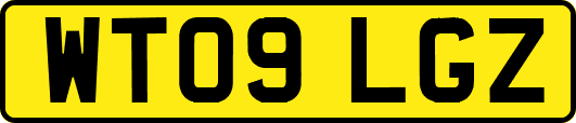 WT09LGZ