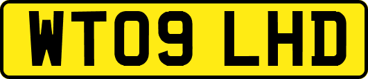 WT09LHD