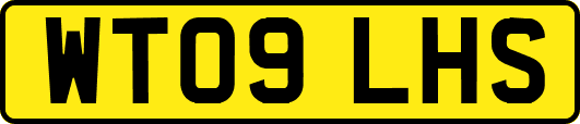 WT09LHS
