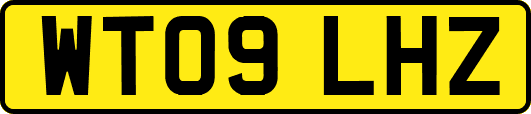 WT09LHZ