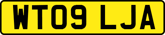 WT09LJA