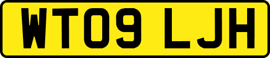 WT09LJH