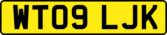 WT09LJK