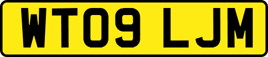 WT09LJM