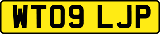 WT09LJP