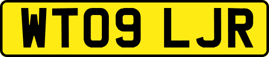 WT09LJR