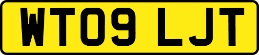 WT09LJT