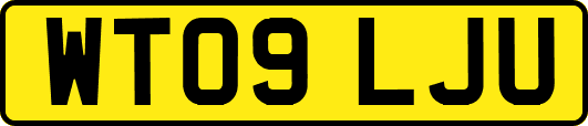 WT09LJU