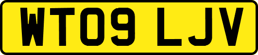 WT09LJV