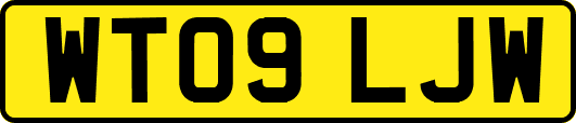 WT09LJW